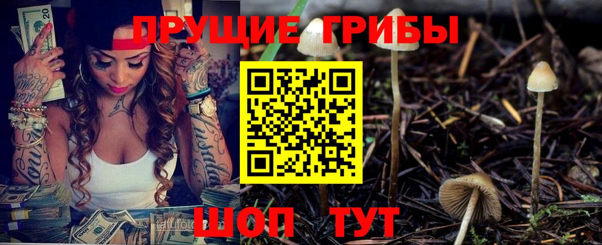 Псилоцибиновые грибы Psilocybe Сухой Лог