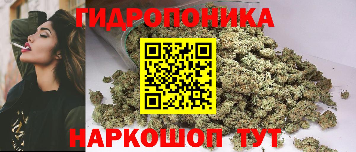 Шишки марихуана конопля Сухой Лог